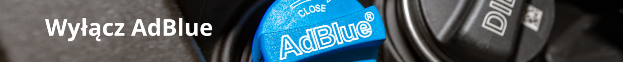Wyłączenie AdBlue DPF EGR Krakow